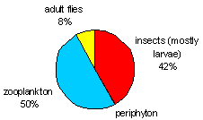 pie chart of diet component percentages