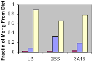 graph of MeHg uptake pathways for Gambusia