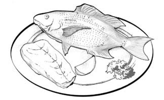 Drawing of a cooked fish on a plate. A sprig of parsley garnishes the fish.