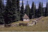 Photo of interface between cabin and forest.