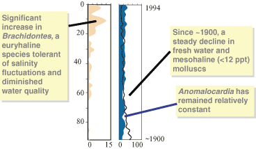 Diagram showing Taylor Creek core analyses results