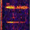 bloop spectrogram