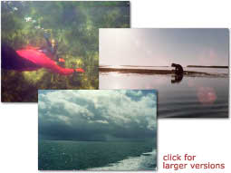 three photos of florida bay: a scientist snorkling, before a storm, and a silouette sampling in the water