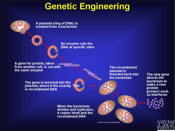 Genetic Engineering