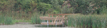 Boardwalk into the Blow-Me-Down Pond