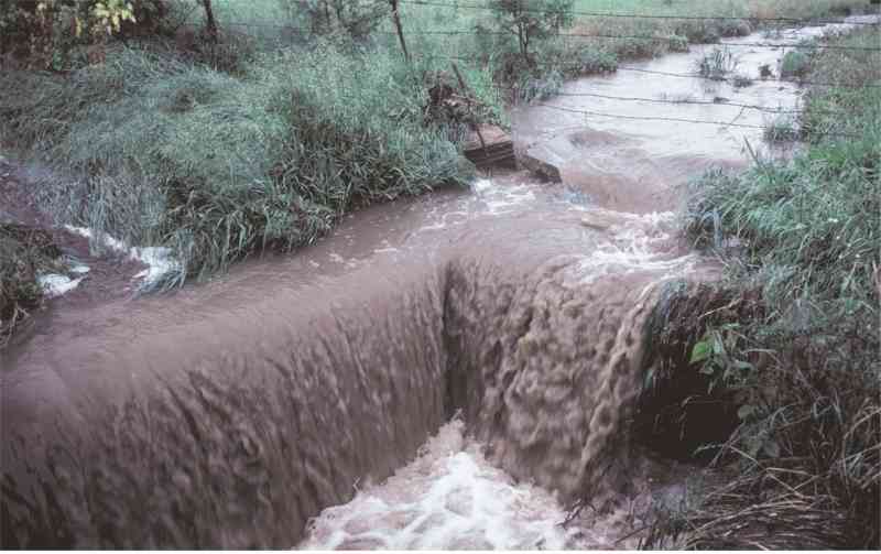 Photo courtesy of USDA, NRCS, Lawrence, Kansas 