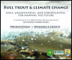 Bull Trout and Climate Change website image
