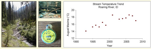 Collage of Stream Temperature Modeling Related Science Images