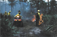 photo of crew lighting a prescribed fire