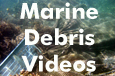 Marine Debris Videos