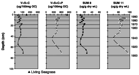 depth profiles of total lignin phenols in sediments at Bob Allen Keys