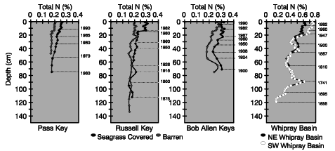 depth profiles of N concentrations in sediments