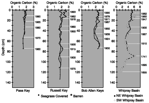 depth profiles of organic carbon in sediments
