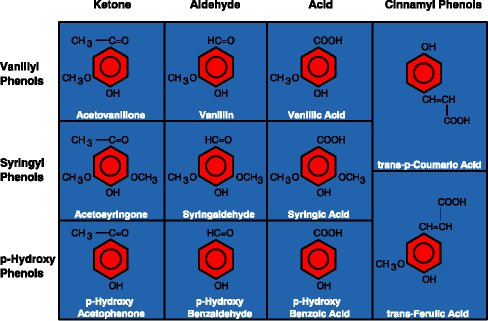 table of lignin phenol structures