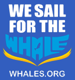 WE SAIL FOR THE WHALE