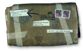 This is an image of a package parcel