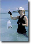 photo of scientist collecting