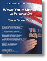 Veterans Pride Poster