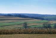 An image of a cultivated field.