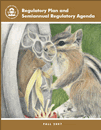 Cover of EPA's Fall 2007 Regulatory Plan and Agenda. Picture of a squirrel eating from a overturned trash can.  This cover was the result of an art contest for children K -12 who are children or grandchildren of EPA employees.  The theme was "Whatever You Do, Wherever You Go, Think before You Throw!" Artwork by Christy Beltz, age 12.