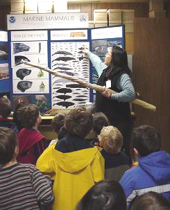 Little Anchor Child Care's field trip to the AFSC/NMML bone museum