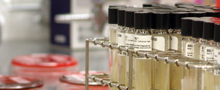 Image: Small vials containing chemical substances. 