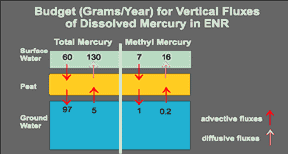 diagram of budget for vertical fluxes of dissolved mercury in ENR