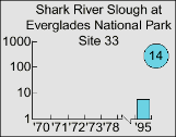 Shark River Slough at Everglades National Park Site 33 graph