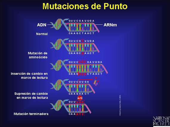 Mutaciones de Punto