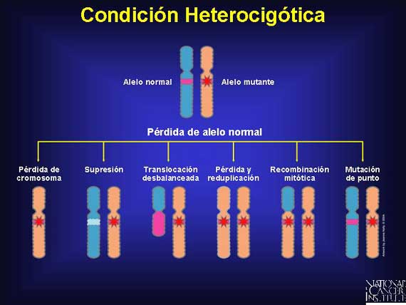 Condición Heterocigótica