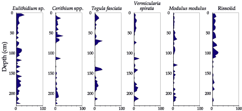 diagrams showing molluscs percent abundance in core