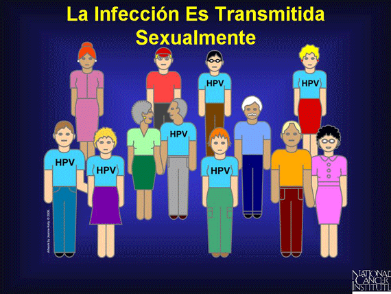 La Infección Es Transmitida Sexualmente