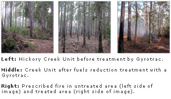 Left: Forested area before treatment. Middle: Forested area after treatment. Right: Prescribed fire in both untreated and treated areas.