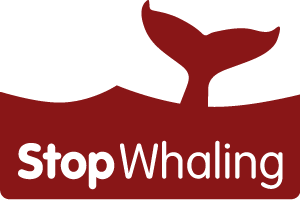 Stop whaling