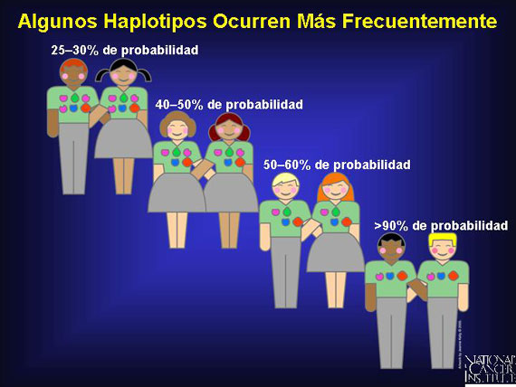 Algunos Haplotipos Ocurren Más Frecuentemente