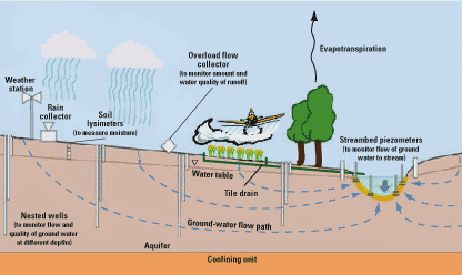 Cross section of typical study site.