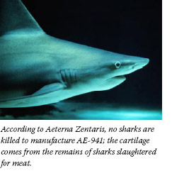 According to Aeterna Zentaris, no sharks are killed to manufacture AE-941; the cartilage comes from the remains of sharks slaughtered for meat.