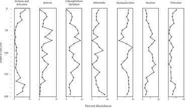 graphs showing percent abundance of key foraminifer taxonomic groups in 2002 Featherbed Bank core