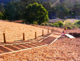 New Chapel Trail at Fort Baker.