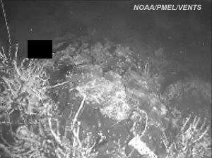 Latest NeMO NeT image