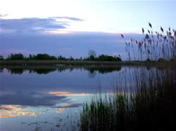 Morning over a Pond