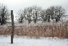 Fresh Snow on the Prairie