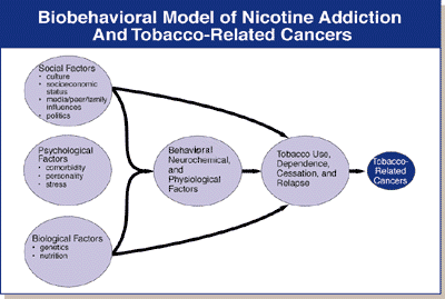 Biobehavioral