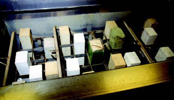 Photo of freeze-thaw specimens in the testing machine 