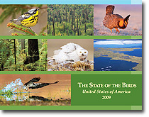 State of the Birds Report Cover Photo