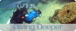 Diving Deeper podcast cover art