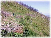 Purdy Fire after restoration southwest of Bozeman, Montana