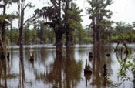 Lake View. Credit: USFWS