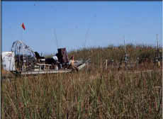 airboat in the Everglades