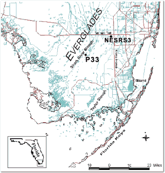 Map showing locations of sites P33 and NESRS3